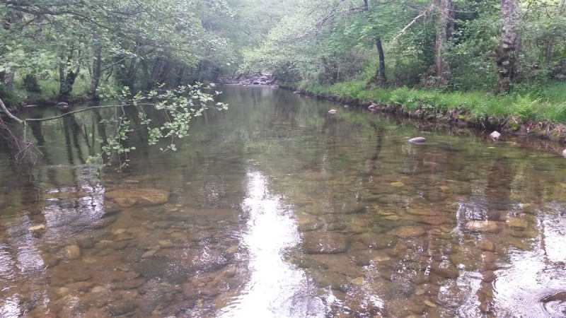 20160430_145426.jpg