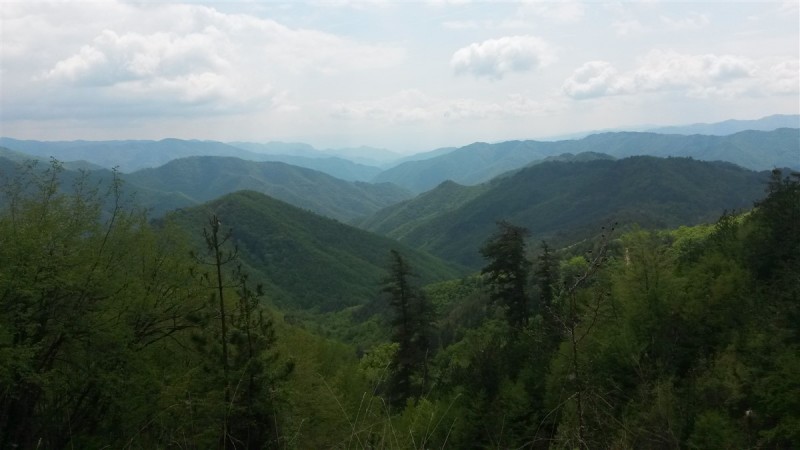 20160501_134255.jpg