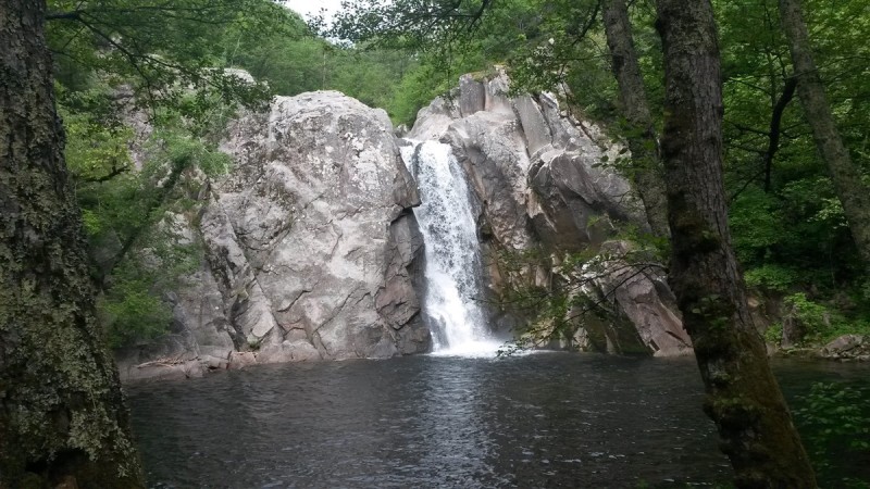 20160430_163720.jpg
