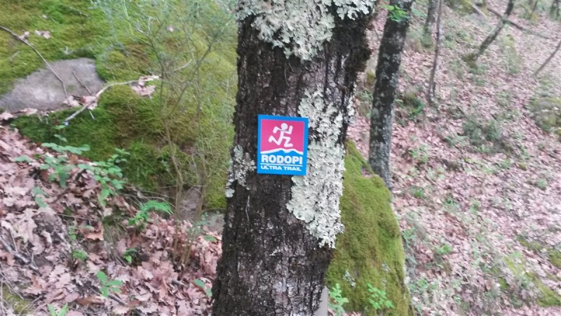 20160430_161631.jpg