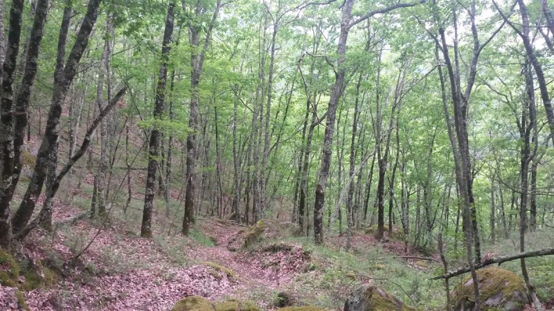 20160430_161614.jpg