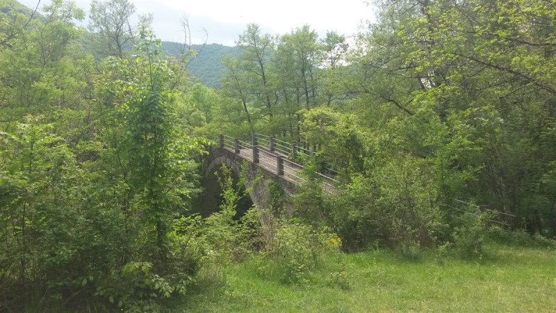 20160430_151732.jpg
