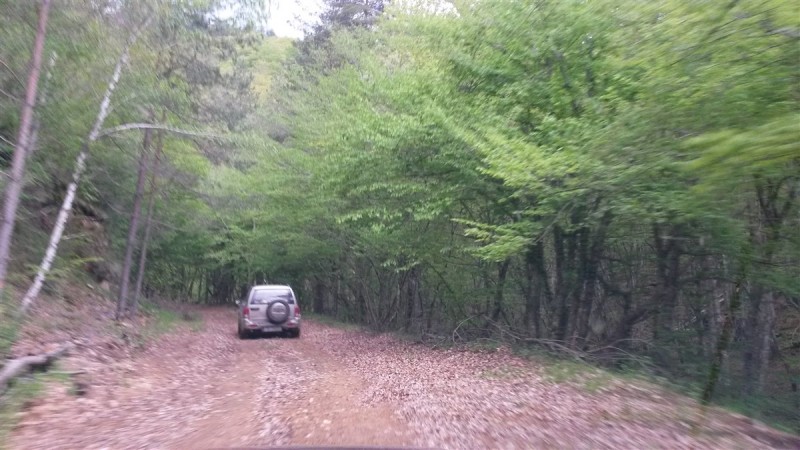 20160501_190508.jpg