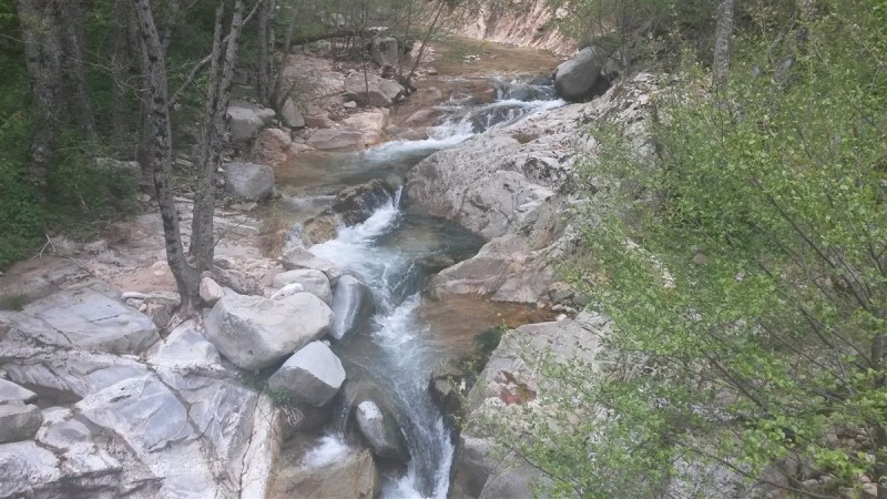 20160501_170605.jpg