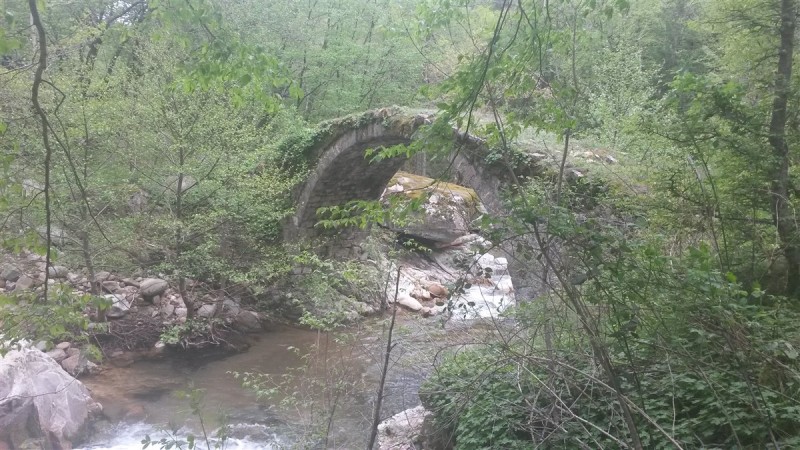 20160501_170517.jpg