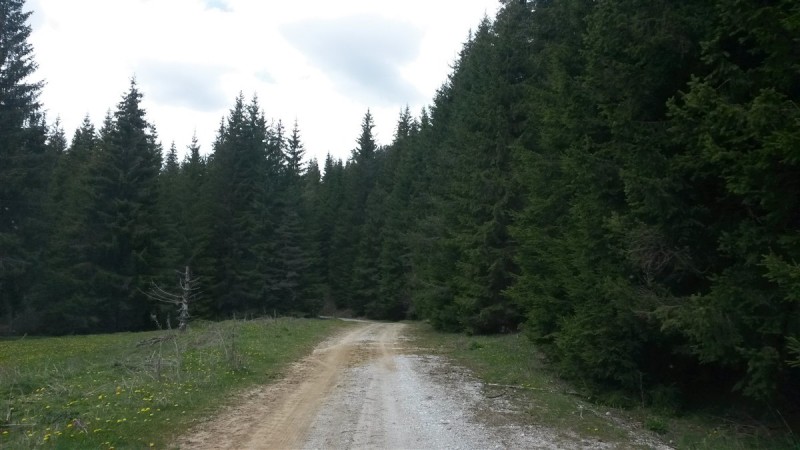 20160502_145742.jpg
