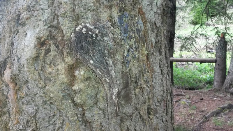 20160502_145019.jpg