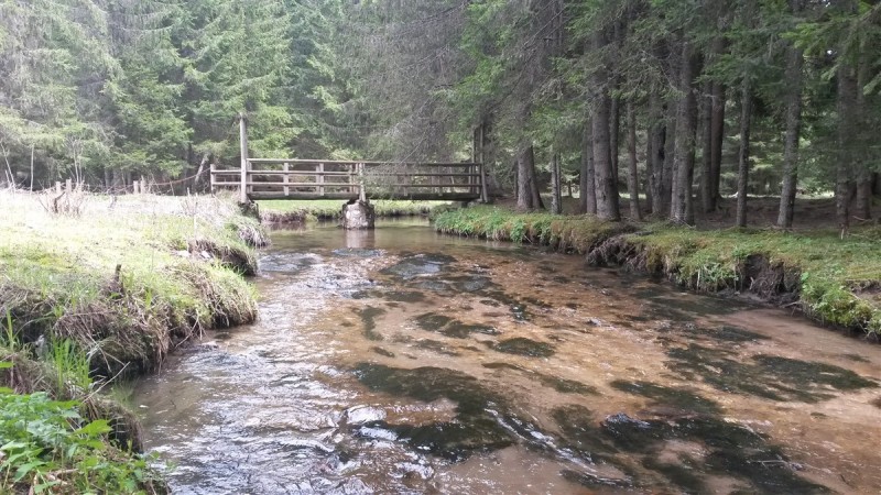 20160502_143921.jpg