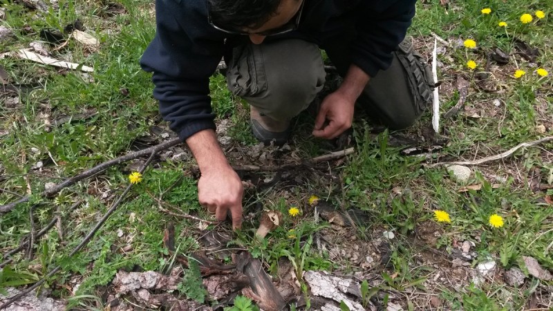 20160502_141733.jpg