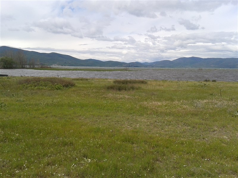 20160504_141600.jpg