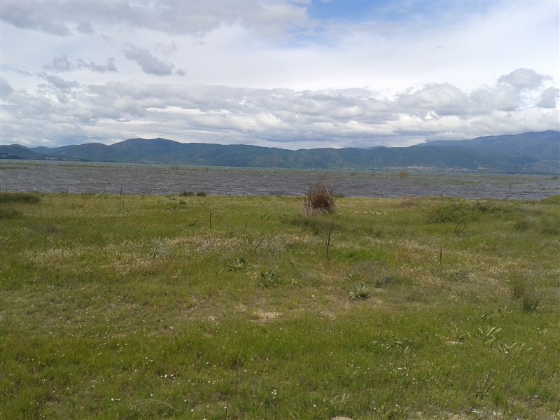 20160504_141603.jpg
