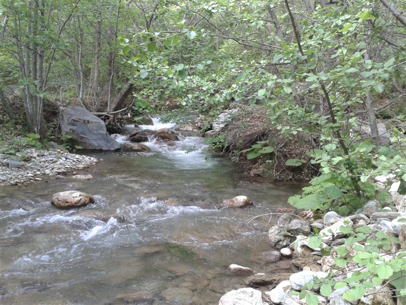 20160504_145454.jpg