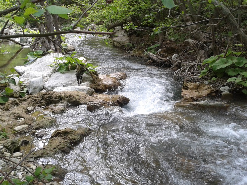 20160504_145500.jpg