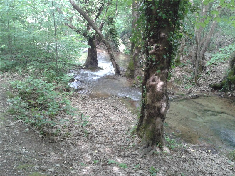 20160504_152415.jpg