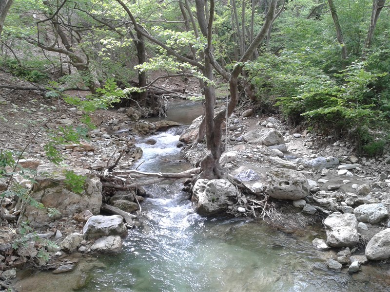 20160504_155754.jpg