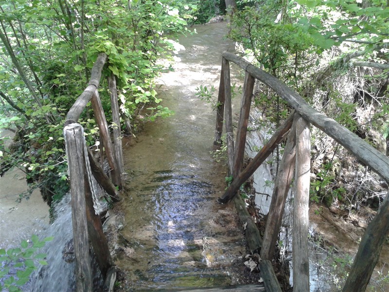 20160504_160443.jpg