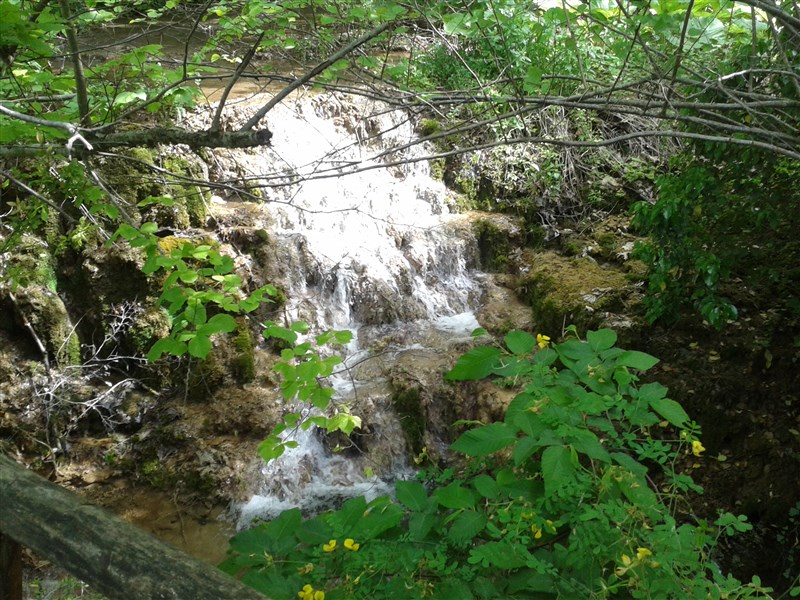 20160504_160450.jpg
