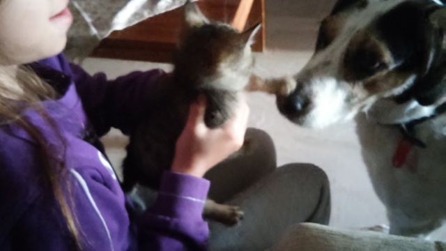 20160426_093659.jpg