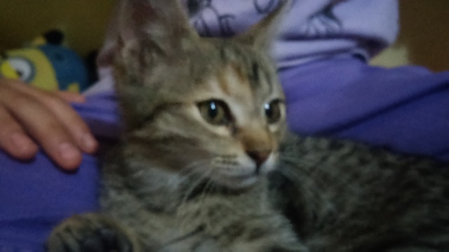 20160514_084126.jpg