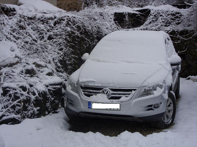 Εικόνα 2010.jpg