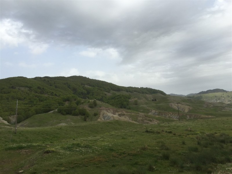 IMG_8648.jpg