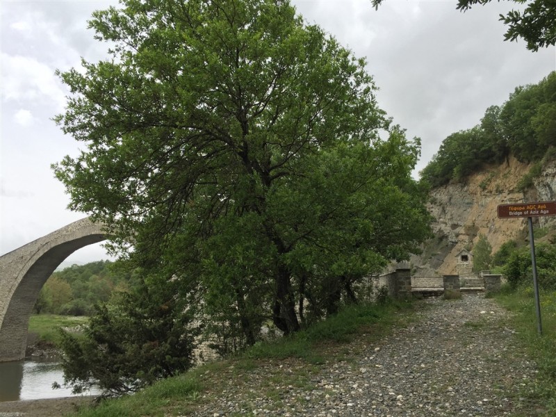 IMG_8740.jpg