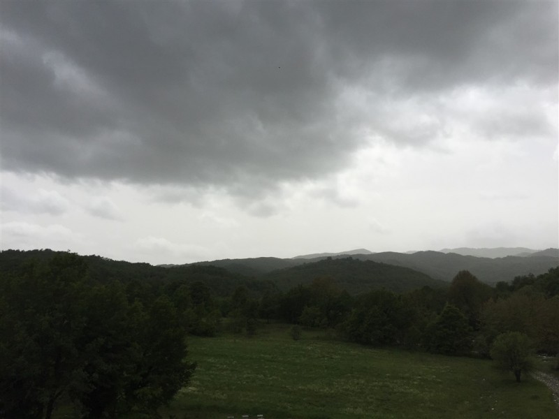 IMG_8765.jpg