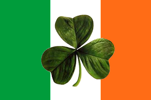 irlanda-flor-np.jpg