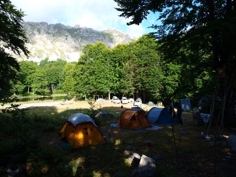 arenes-katavlismos-diasxisi-2011.jpg