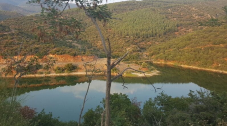 2016-07-30 12.10.17.jpg