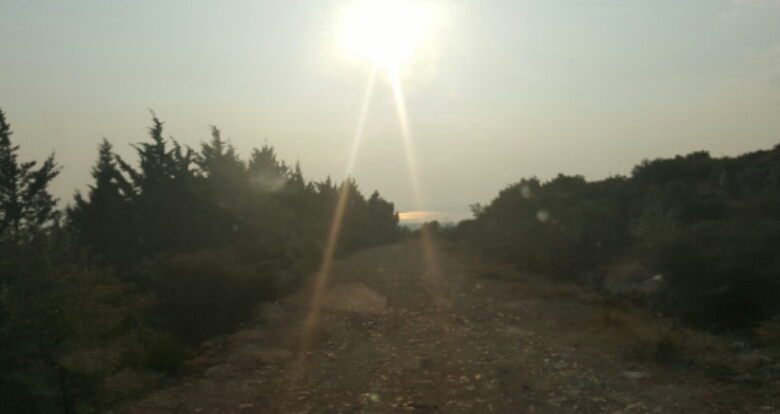 2016-07-30 12.11.16.jpg