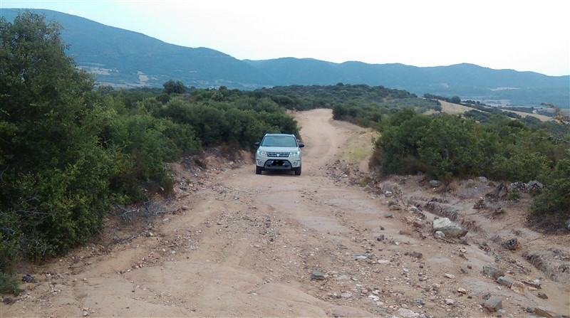 IMAG0621 (800 x 447) rsz plate.png