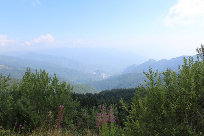 IMG_2007.JPG