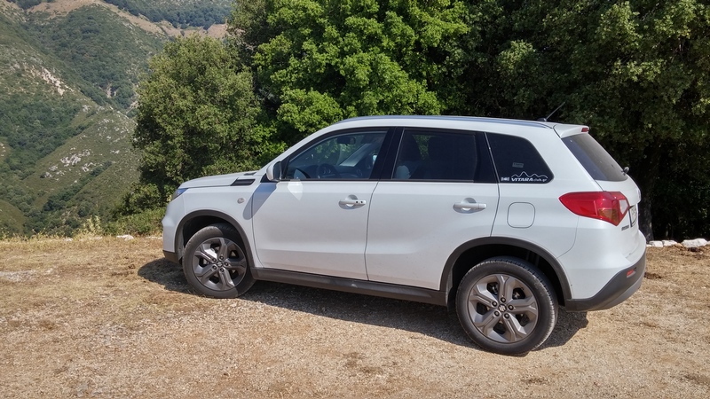 vitara4.jpg