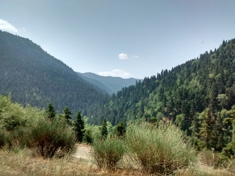 IMG_20160801_113404995_HDR-1.jpg