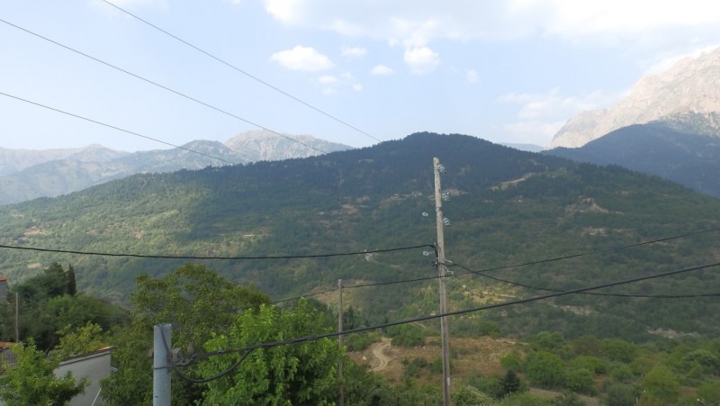 P8010441.jpg
