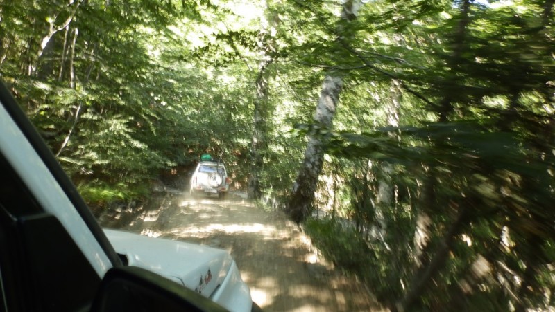 P8020462.jpg