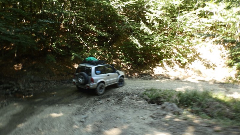 P8020463.jpg