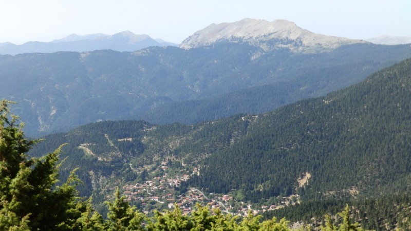 P8020472.jpg