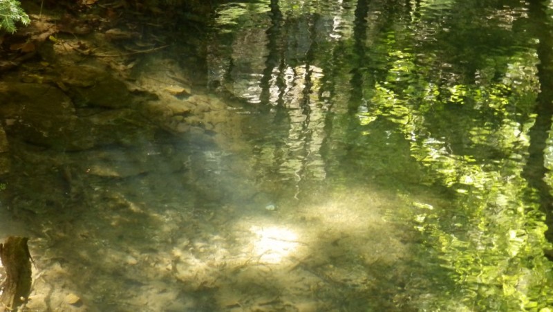 P8020486.jpg