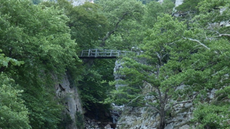 P8020511.jpg