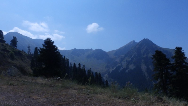 P8030550.jpg
