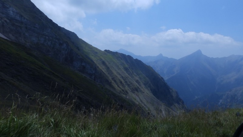 P8030561.jpg