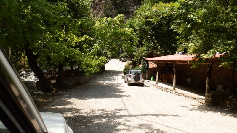P8030593.jpg