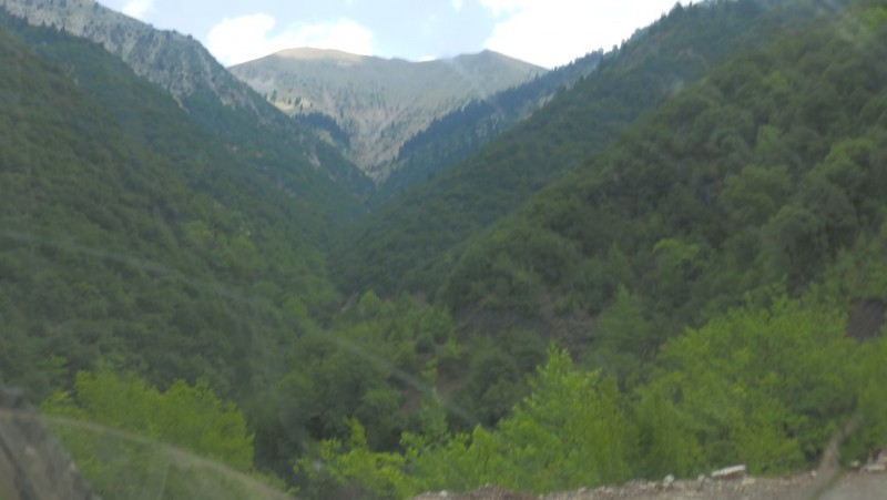 P8040653.jpg