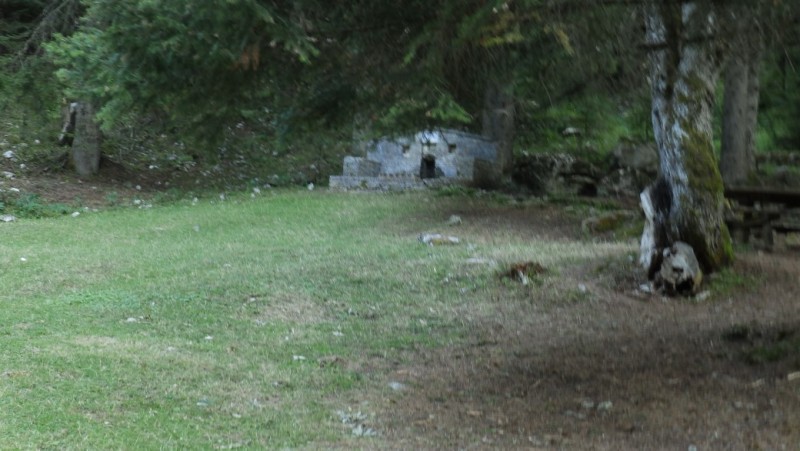 P8040691.jpg