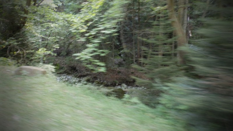 P8050724.jpg