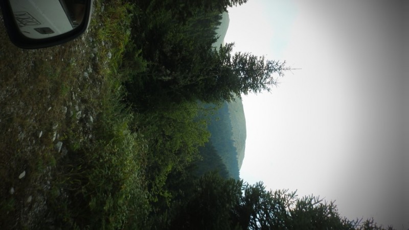 P8050726.jpg