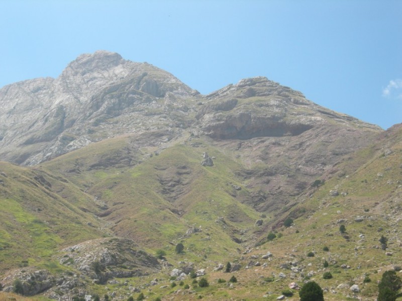 DSCN7325.jpg