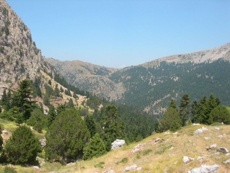 DSCN7329.jpg